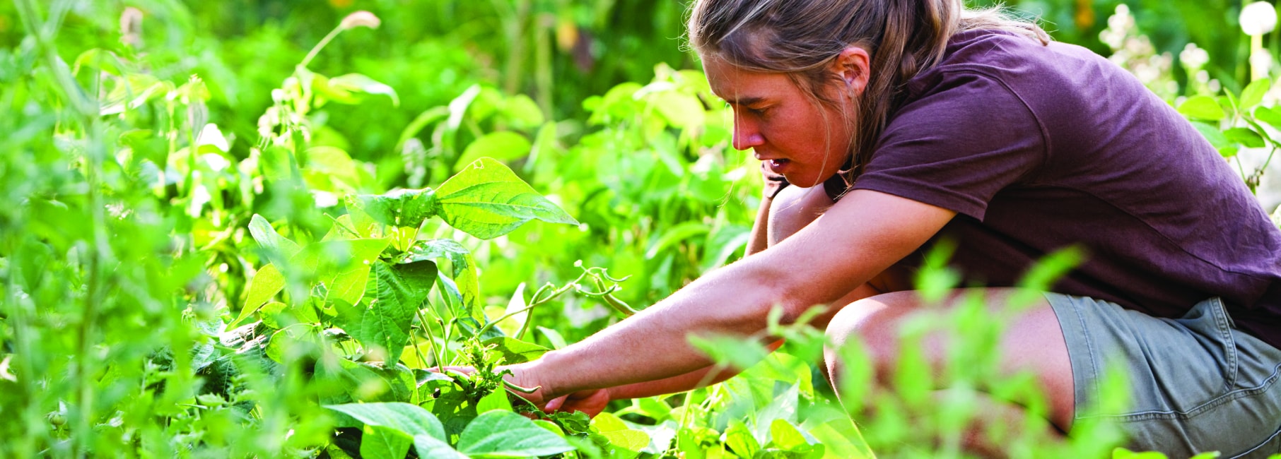 Woman tending to garden