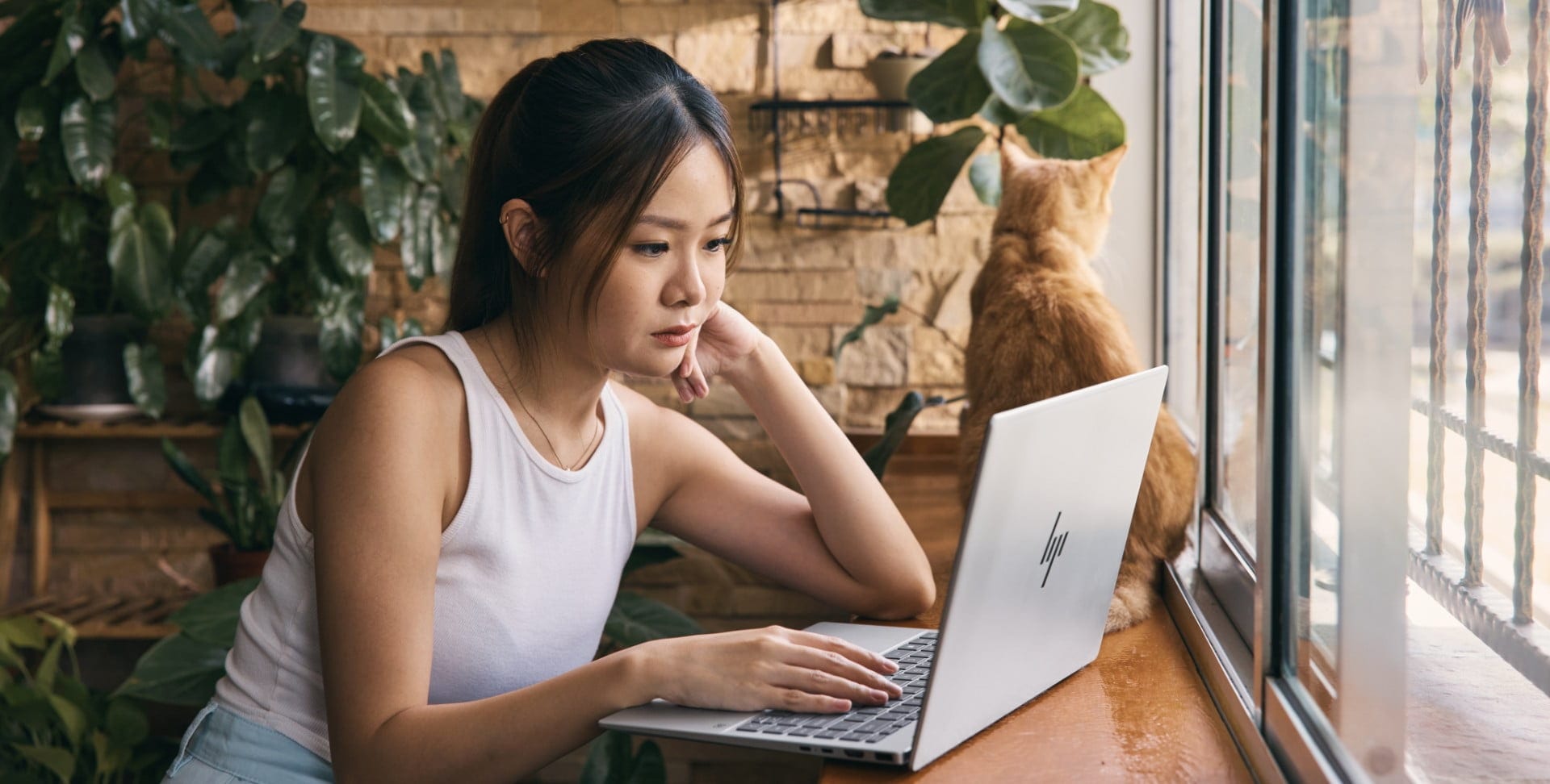 A person sitting at a window using a Pavilion laptop