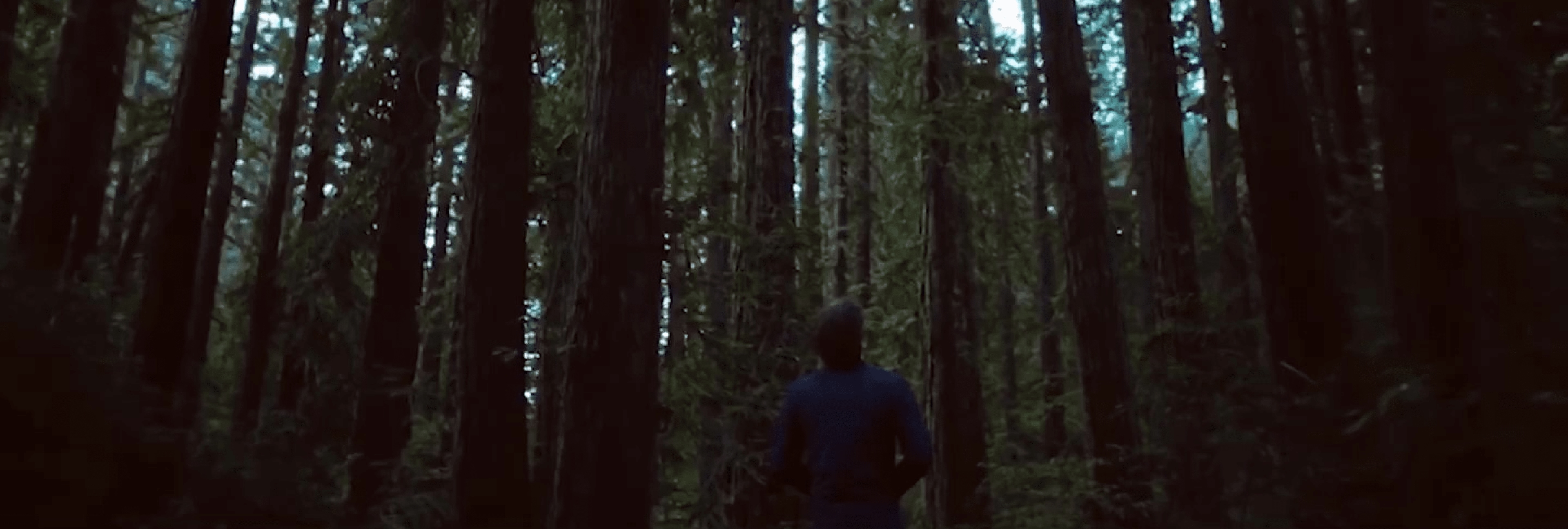 Dense forest
