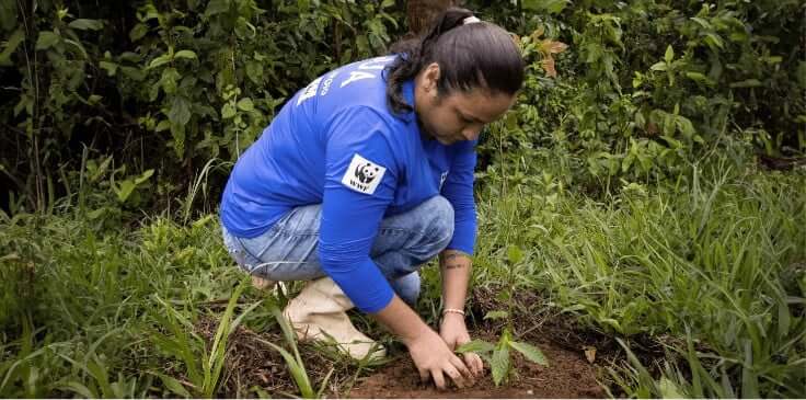 woman planting trees