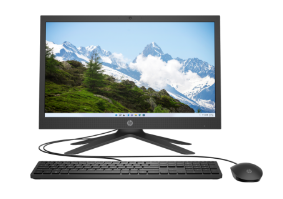 HP 21 All-in-One